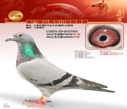 ��ͥ�������273��