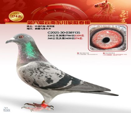 ��ͥ�������274��