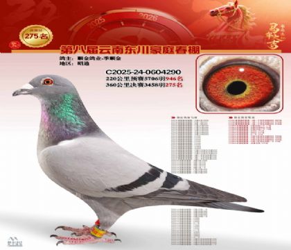 ��ͥ�������275��