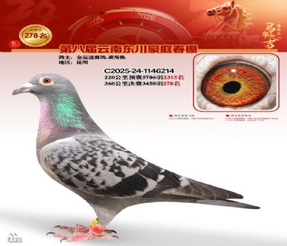 ��ͥ�������278��