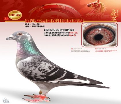 ��ͥ�������281��