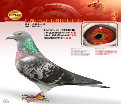 ��ͥ�������279��