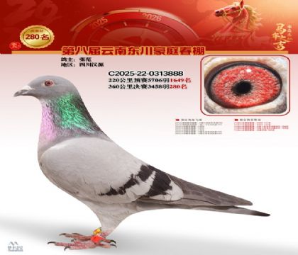 ��ͥ�������280��