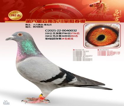 ��ͥ�������282��