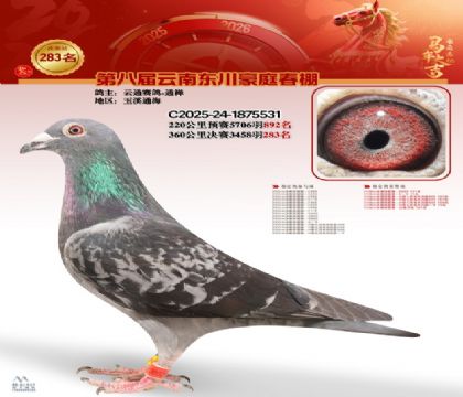 ��ͥ�������283��