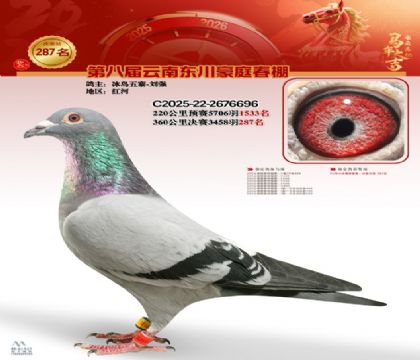 ��ͥ�������287��