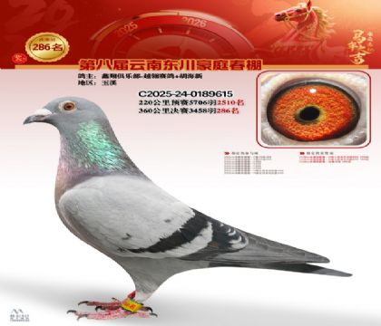 ��ͥ�������286��