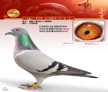 ��ͥ�������285��