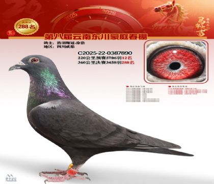 ��ͥ�������288��