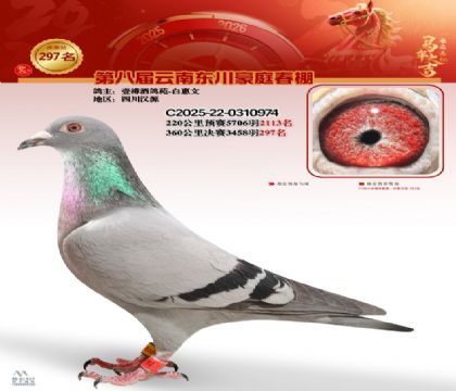 ��ͥ�������297��