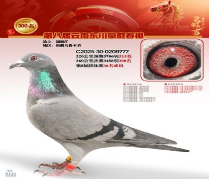 ��ͥ�������300��