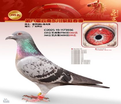 ��ͥ�������299��