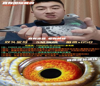 ���p�^��ĸ������ȫ��022ֱ��x858ֱŮ