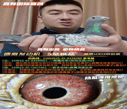 ���ٶȰl(f��)�әC������x003�p�ؽ��H