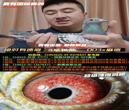 ���^�����ٶȡ�003x����