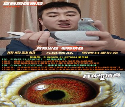 ���_���������H������041���Hֱ�O