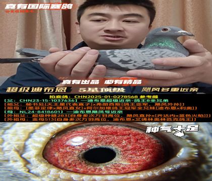 �������ϲ������Z�L̖���ؽ��H