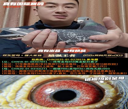 �������ĸ858���H��858��Ѫ����o��x003