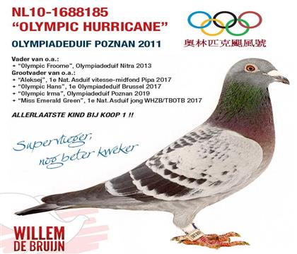 �W��ƥ���Z�L(f��ng)̖