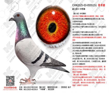 ��ʿ����������