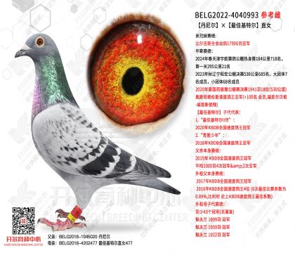 ���᠖����ѻ��ؠ�ֱŮ