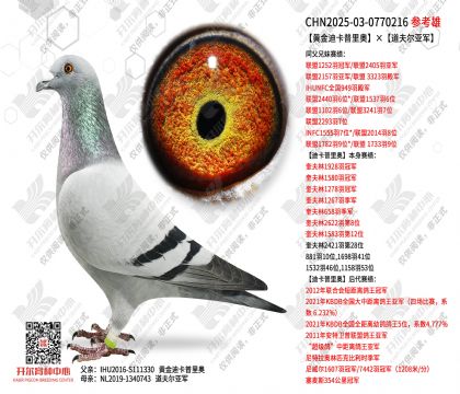 �S��Ͽ�����W�����򠖁�܊