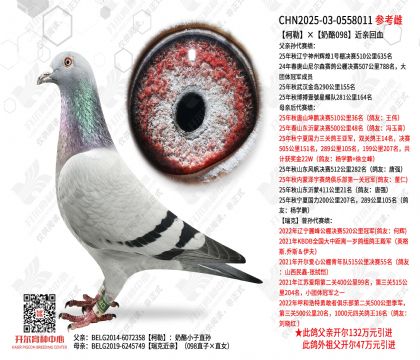 ���ա�����098���H��Ѫ