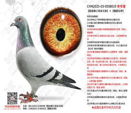 �½�ķ֮ĸ�H�ֵܡ��n��Ů��