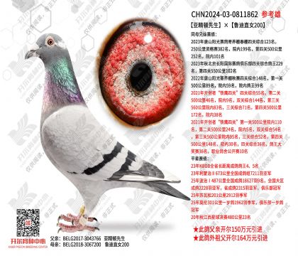 �����D��������?sh��)�ֱ�?00