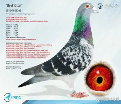 2���游1029362��ѻ��ؠ�