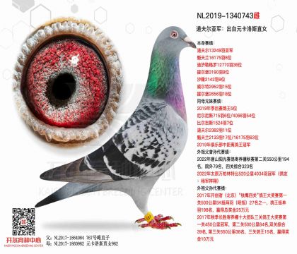 2ĸ�HNL2019-1340743