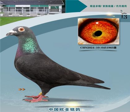 ��˹ɣ��ʿ��ɫ�쳵688X008