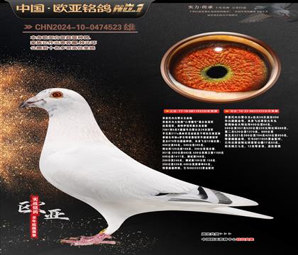 ��˼���ڰ�ѩ����ԭ��935X333