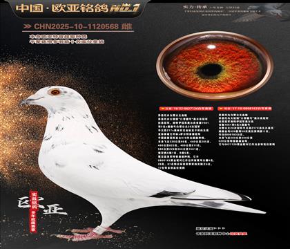 ��˼���ڰ�ѩ����ԭ��126X163