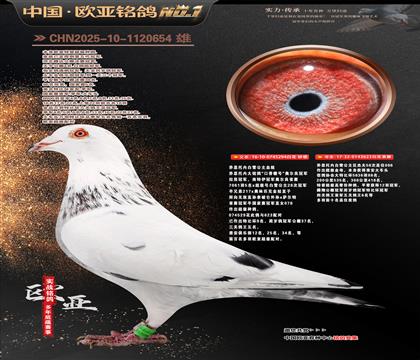 ��˼���ڰ�ѩ����ԭ��294X623