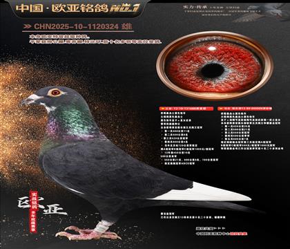 ��˹ɣ��ʿ��ɫ�쳵688X008