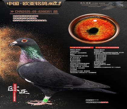 ��˹ɣ��ʿ��ɫ�쳵688X008