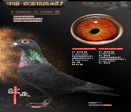 ����˹�п���ԭ��652X623