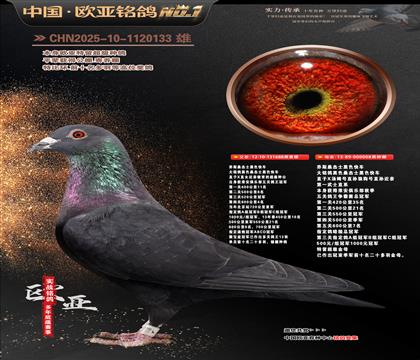 ��˹ɣ��ʿ��ɫ�쳵688X008