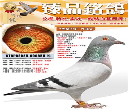 ���ܻ�3�š�����Ů��ñ��Ϸ����ȫ�ֵܡ����ܻ�3�š�ֱŮ