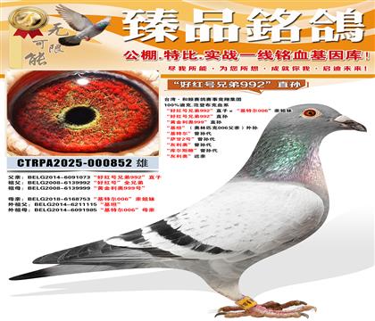 ���ú���ֵ�992��ֱ�� ���ƽ�����999��ֱ�� ����̹����