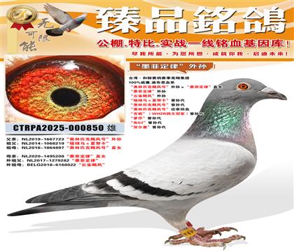 ��ī�ƶ��ɡ����� ����ȸ쫷硱���� ����»������Ŭ���������