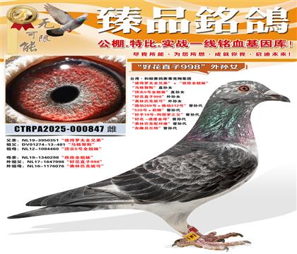 ���û�ֱ��998������Ů ������ƥ���ݿɡ�����Ů ��·��26