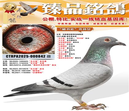 �����鴦������Ů�������ǡ�ȫ�ֵܡ��������ǡ���Ů