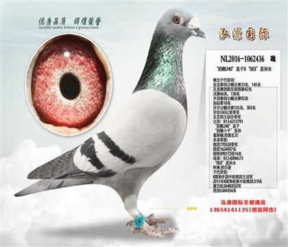 ���ƽ�����ۡ�������240��ֱ��X��003��ֱ��Ů