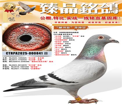 �����鴦������Ů�������ǡ�ȫ�ֵܡ��������ǡ���Ů