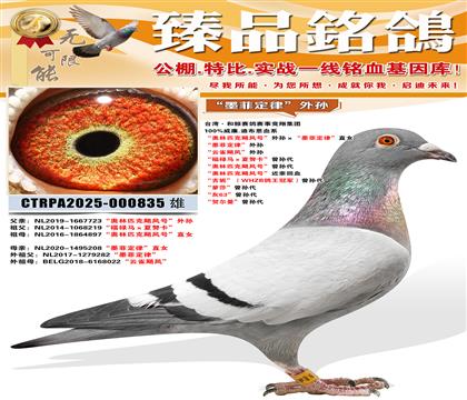 ��ī�ƶ��ɡ����� ����ȸ쫷硱���� ����»������Ŭ���������