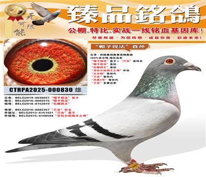 ��ñ��Ϸ����ֱ�� ����Ƹ�����ֱ����������ؽ���