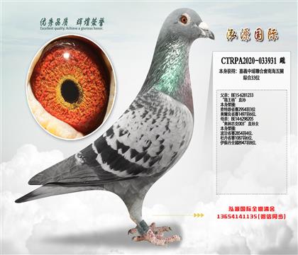 ���ƽ���Դơ�̨������ۺ�33λ