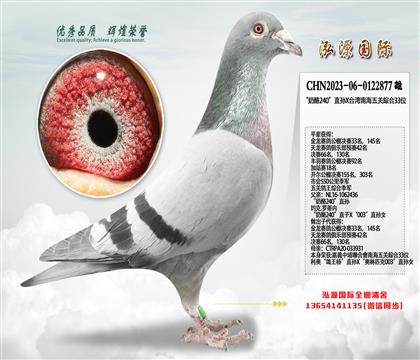 �ƽ�����Ӵ� 0122877